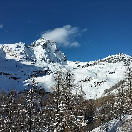Cervinia Apartments Breuil-Cervinia Zewnętrze zdjęcie